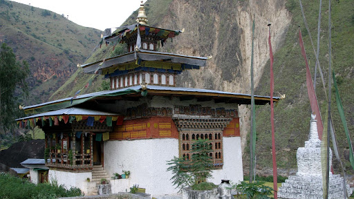 Gomphukora Ney