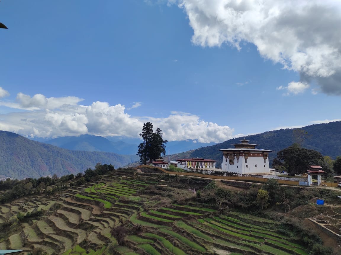 Choeten Nyingpo Goenzin Dratshang, Kabji