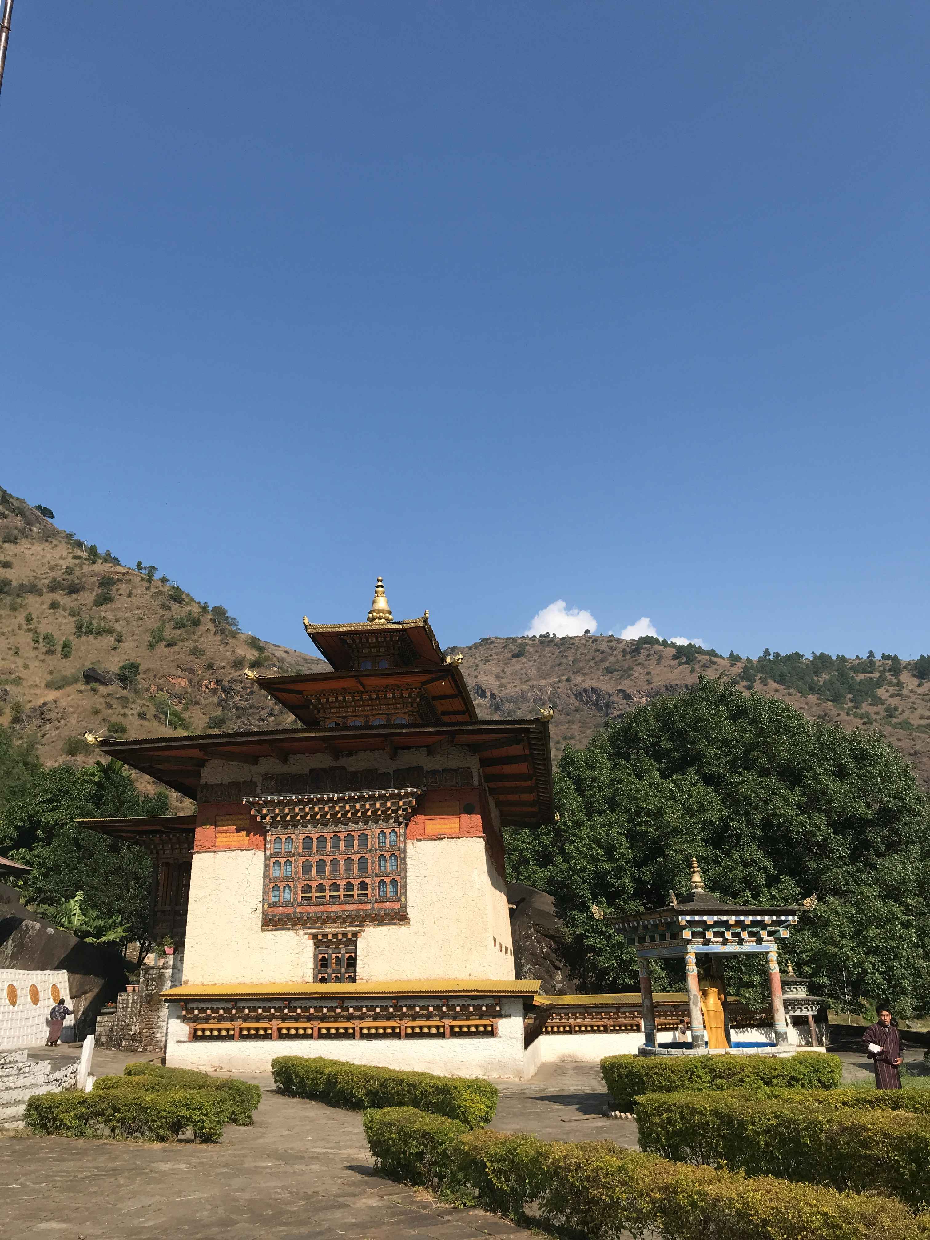 Gomphukora Ney