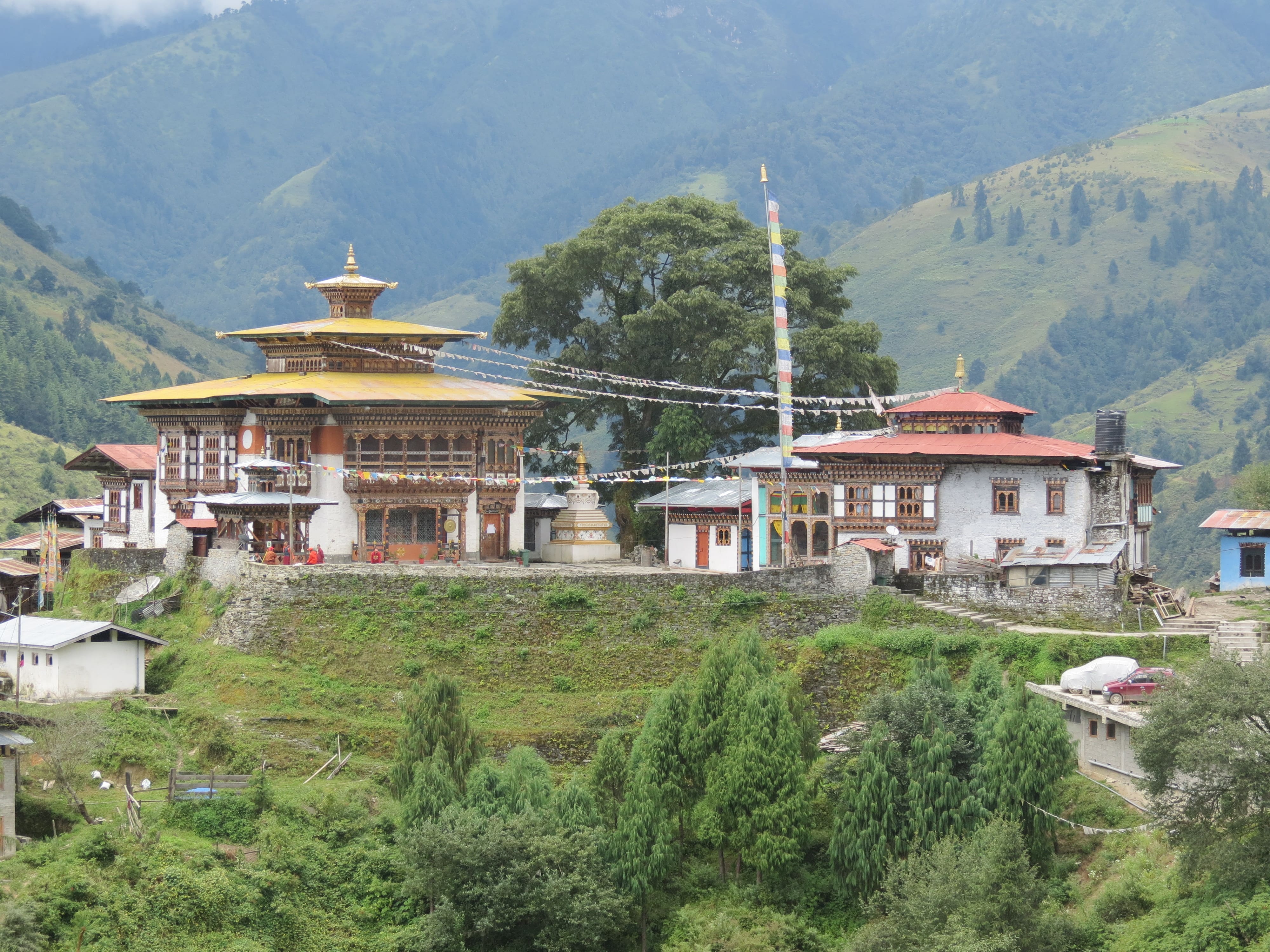 Wangdue Goenpa, Busa