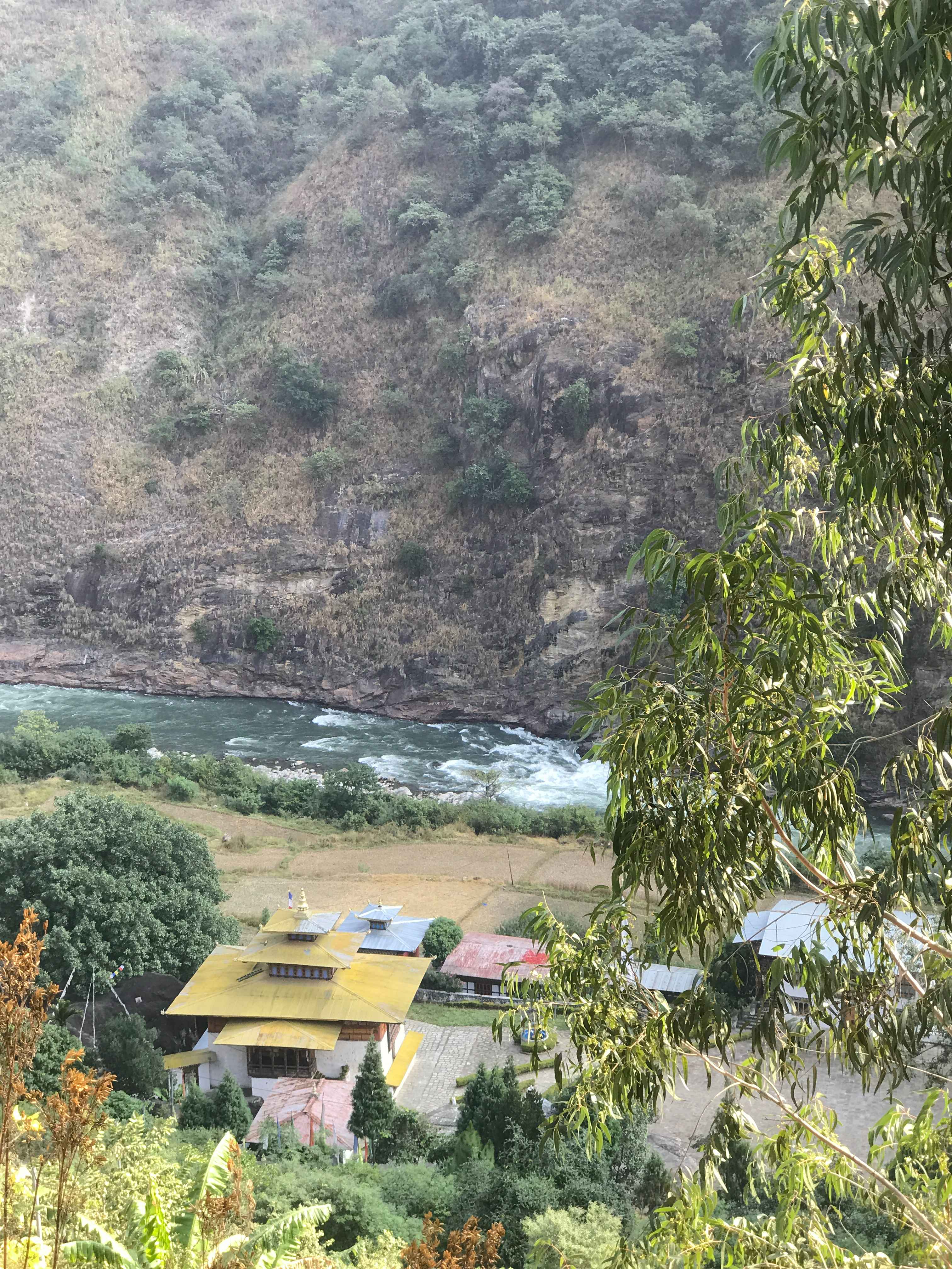 Gomphukora Ney